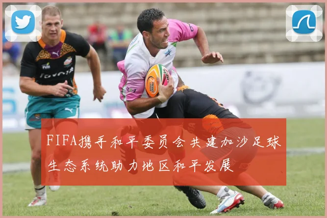 FIFA携手和平委员会共建加沙足球生态系统助力地区和平发展