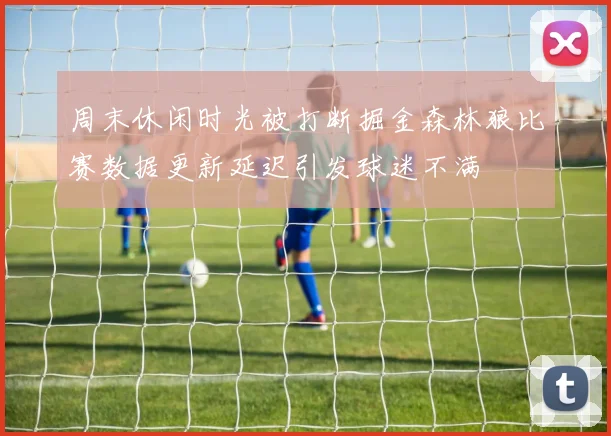 周末休闲时光被打断掘金森林狼比赛数据更新延迟引发球迷不满