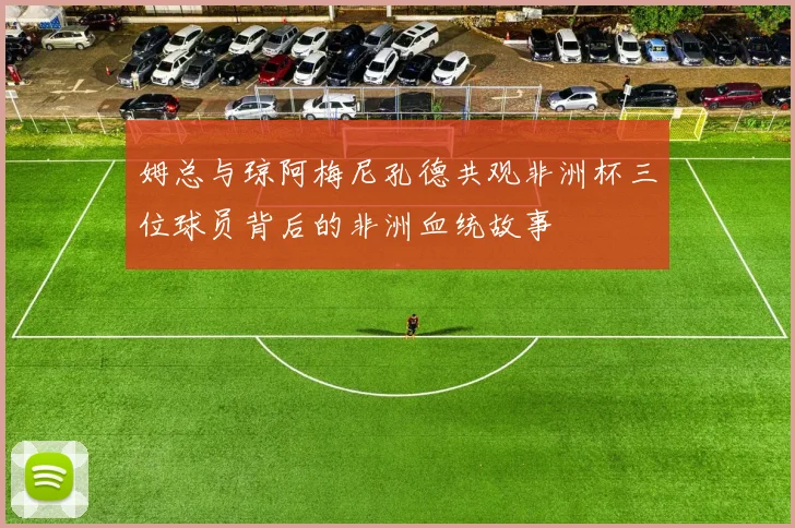 姆总与琼阿梅尼孔德共观非洲杯三位球员背后的非洲血统故事
