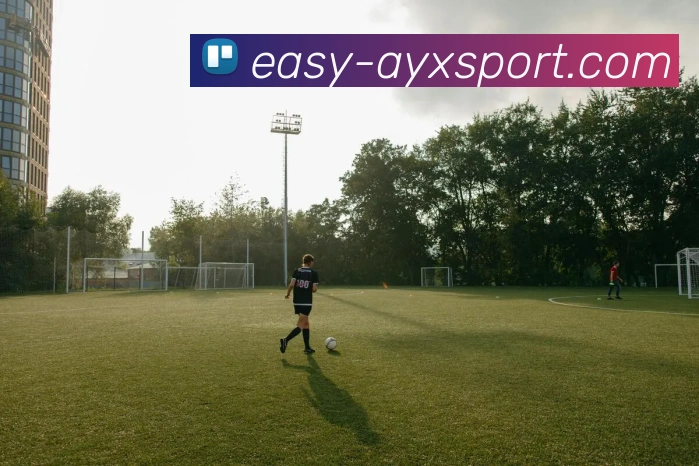 爱游戏体育发展历程